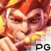 pp image